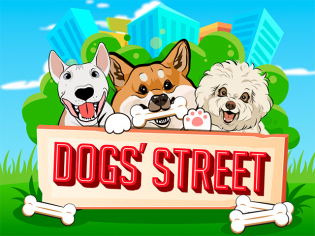 The Dog House